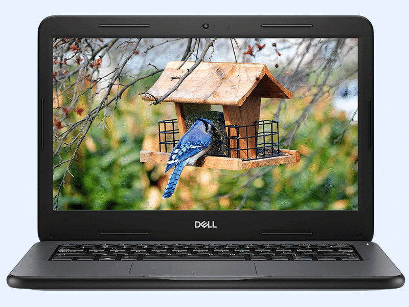 Dell Latitude 3300